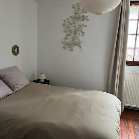 La Maison Du Pont Vieux 카르카손 외부 사진
